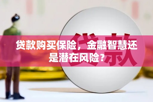 苑里贷款购买保险，金融智慧还是潜在风险？