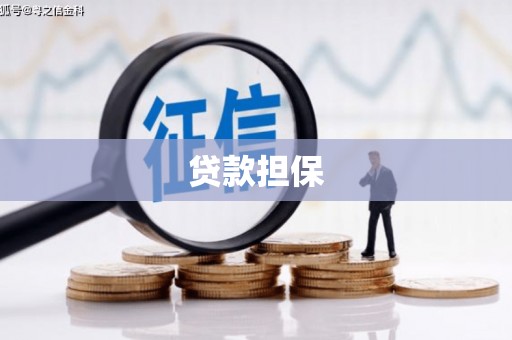 蔡甸贷款担保