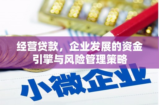峨眉经营贷款，企业发展的资金引擎与风险管理策略