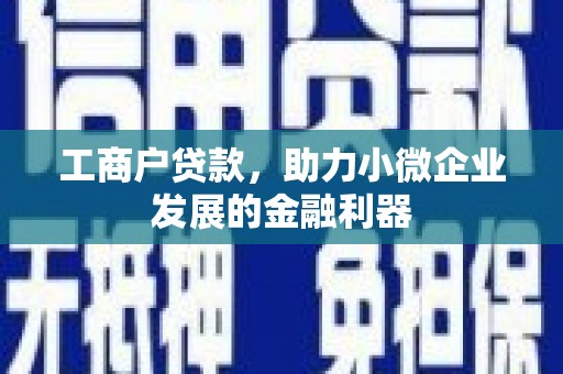 茂林工商户贷款,助力小微企业发展的金融利器 茂林工商户贷款,助力小微企业发展的金融利器
