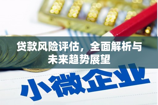 高平贷款风险评估，全面解析与未来趋势展望