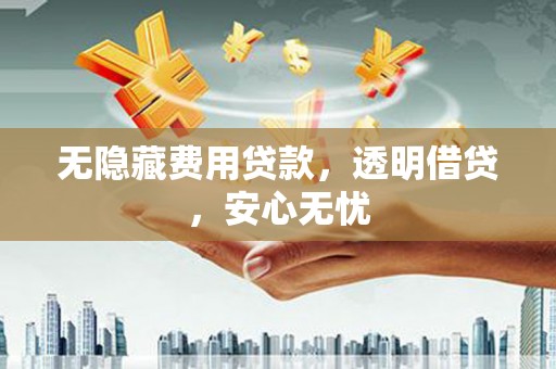 迪庆无隐藏费用贷款，透明借贷，安心无忧