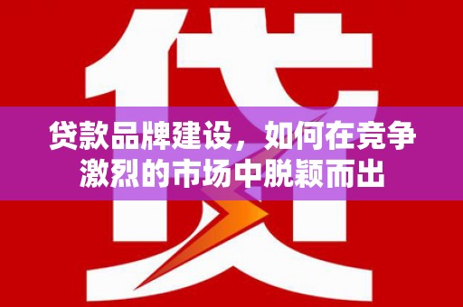 滨海贷款品牌建设，如何在竞争激烈的市场中脱颖而出