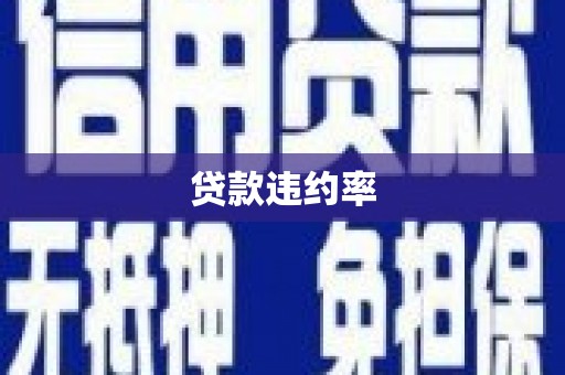 枞阳贷款违约率