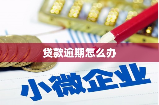 皇姑贷款逾期怎么办