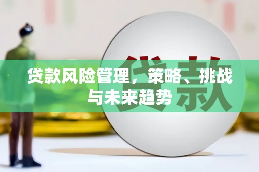 赫山贷款风险管理，策略、挑战与未来趋势