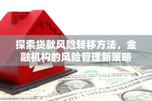 临湘探索贷款风险转移方法，金融机构的风险管理新策略