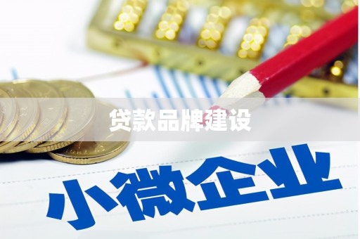 巧家贷款品牌建设