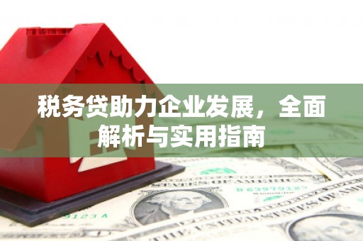 旬阳税务贷助力企业发展，全面解析与实用指南