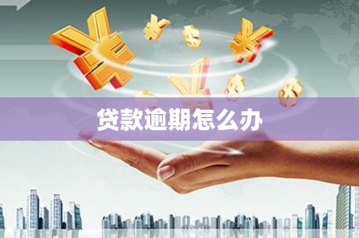 宝兴贷款逾期怎么办