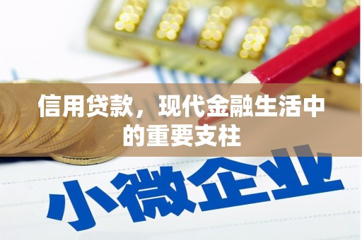溆浦信用贷款，现代金融生活中的重要支柱