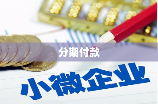 武隆分期付款