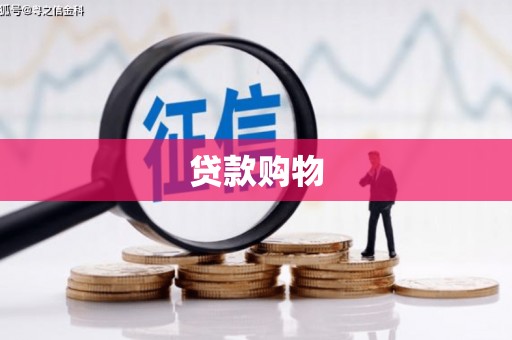 龙文贷款购物