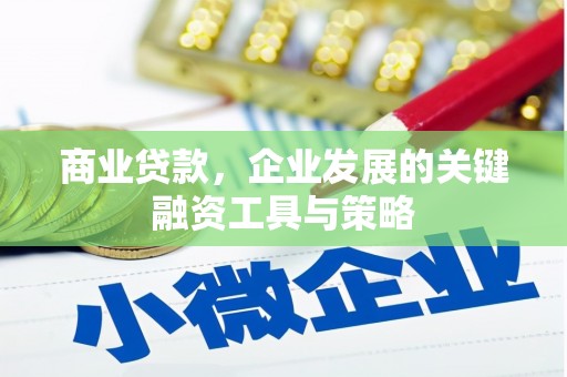 西吉商业贷款，企业发展的关键融资工具与策略