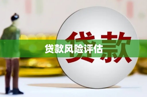 永新贷款风险评估