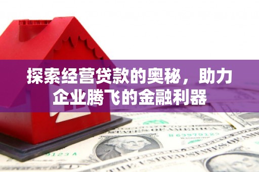 遂昌探索经营贷款的奥秘，助力企业腾飞的金融利器