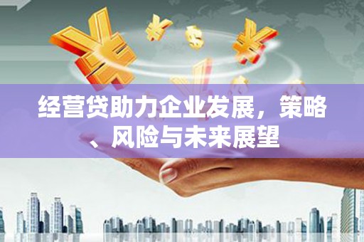 红安经营贷助力企业发展，策略、风险与未来展望