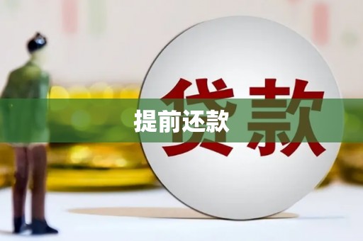 项城提前还款