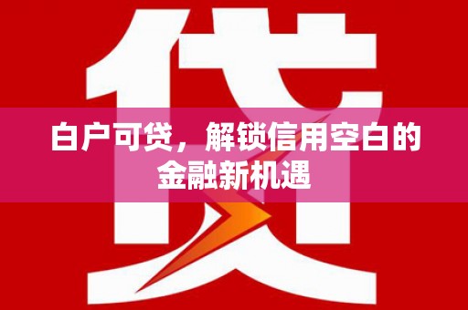 南丹白户可贷，解锁信用空白的金融新机遇