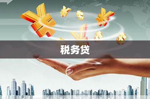 延津税务贷