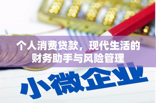 项城个人消费贷款，现代生活的财务助手与风险管理