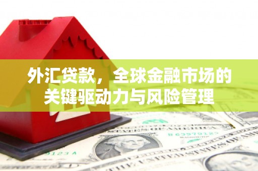 乳源外汇贷款，全球金融市场的关键驱动力与风险管理