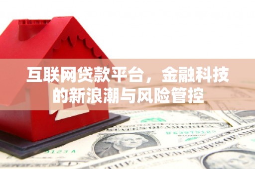 海陵互联网贷款平台，金融科技的新浪潮与风险管控