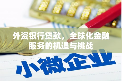 武穴外资银行贷款，全球化金融服务的机遇与挑战