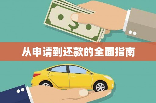 龙游从申请到还款的全面指南