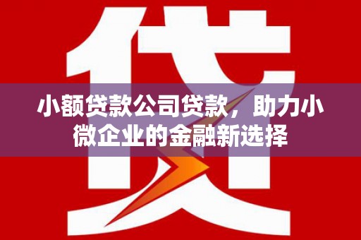 白河小额贷款公司贷款，助力小微企业的金融新选择