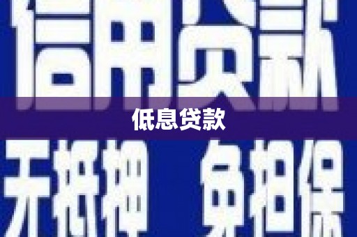 靖边低息贷款