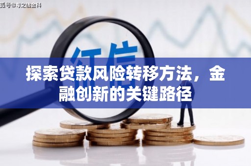龙游探索贷款风险转移方法，金融创新的关键路径