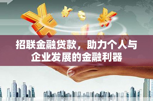 九原招联金融贷款，助力个人与企业发展的金融利器