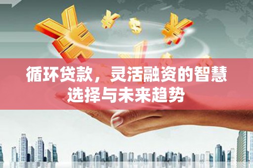 清城循环贷款，灵活融资的智慧选择与未来趋势