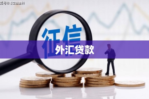 孟村外汇贷款
