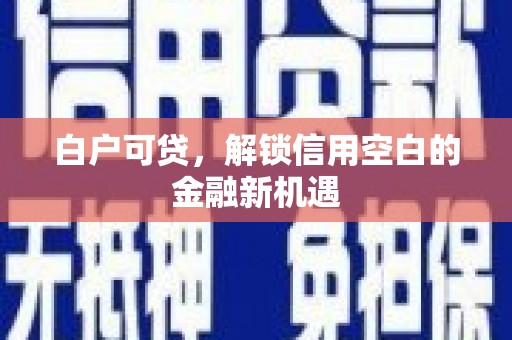 邯郸白户可贷，解锁信用空白的金融新机遇