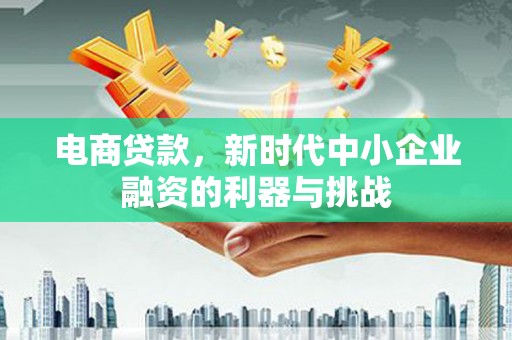 张家港电商贷款，新时代中小企业融资的利器与挑战
