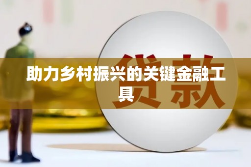 大村助力乡村振兴的关键金融工具