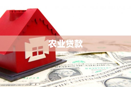 麦积农业贷款