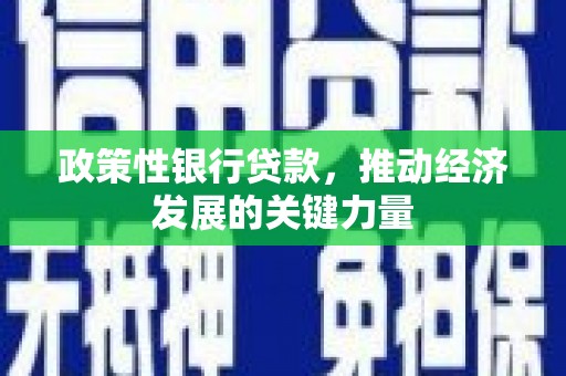 禄丰政策性银行贷款，推动经济发展的关键力量