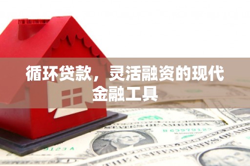 岱山循环贷款，灵活融资的现代金融工具