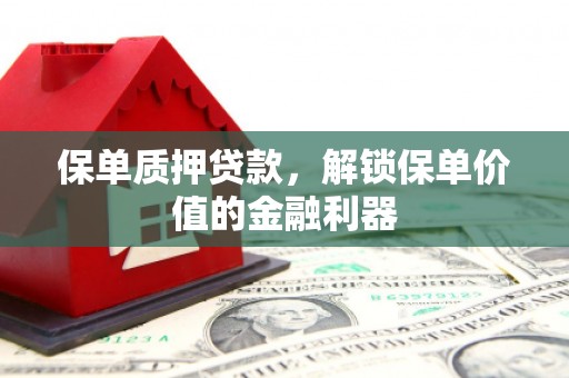 盐津保单质押贷款，解锁保单价值的金融利器
