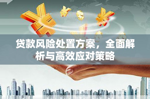 灌南贷款风险处置方案，全面解析与高效应对策略