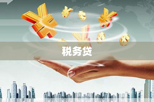 宜州税务贷