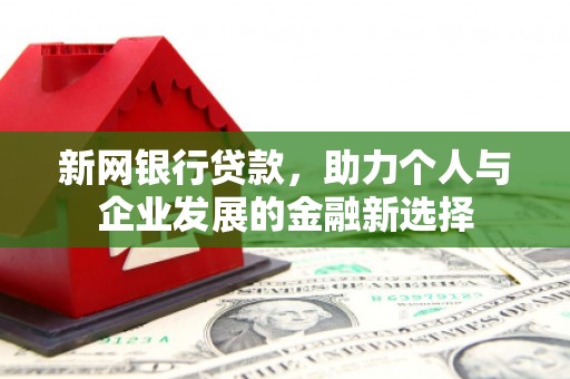 昭化新网银行贷款，助力个人与企业发展的金融新选择