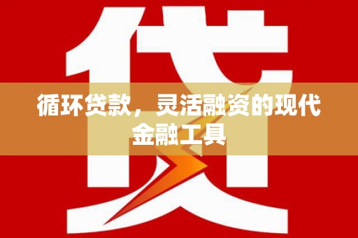 龙游循环贷款，灵活融资的现代金融工具