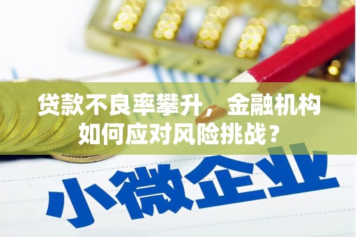 崇仁贷款不良率攀升，金融机构如何应对风险挑战？