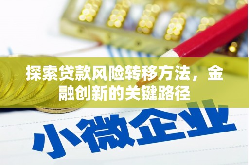 大溪探索贷款风险转移方法，金融创新的关键路径