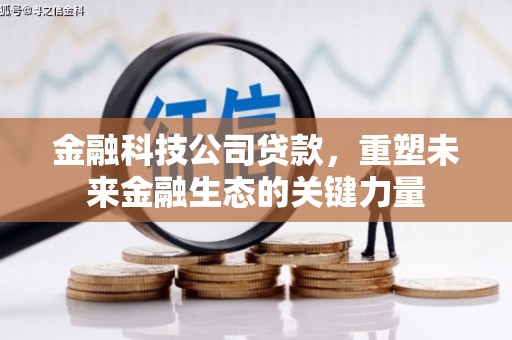 竹南金融科技公司贷款，重塑未来金融生态的关键力量