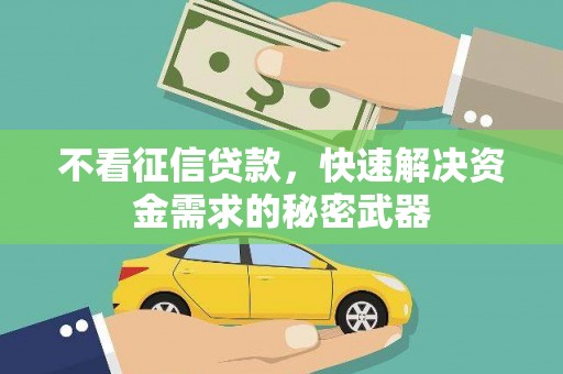绥中不看征信贷款，快速解决资金需求的秘密武器